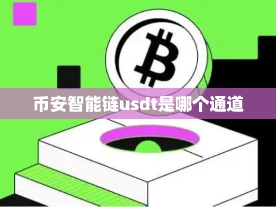 币安智能链usdt是哪个通道