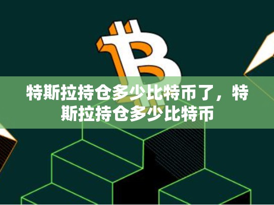 特斯拉持仓多少比特币了，特斯拉持仓多少比特币-第1张图片-币数通