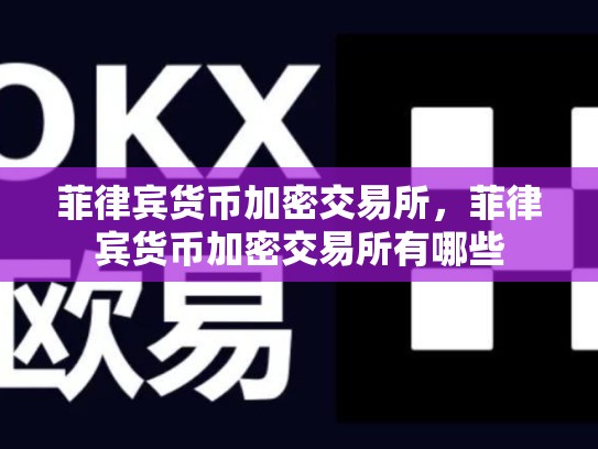 菲律宾货币加密交易所，菲律宾货币加密交易所有哪些-第1张图片-币数通