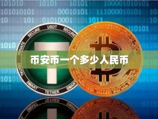 币安币一个多少人民币-第1张图片-币数通