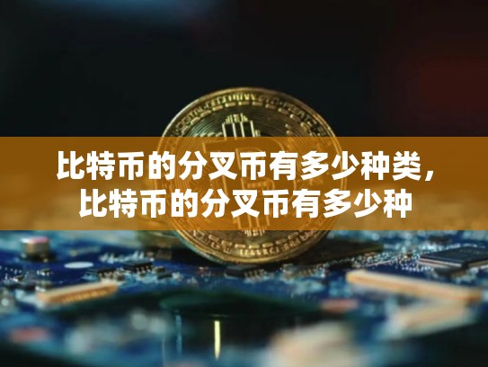 比特币的分叉币有多少种类，比特币的分叉币有多少种-第1张图片-币数通