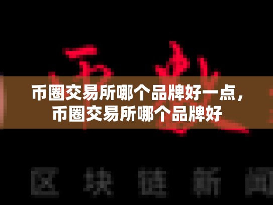 币圈交易所哪个品牌好一点，币圈交易所哪个品牌好