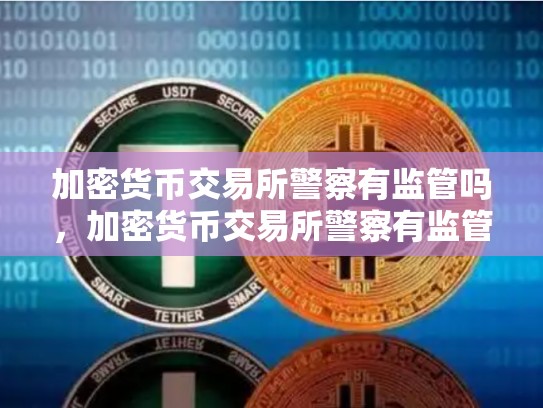 加密货币交易所警察有监管吗，加密货币交易所警察有监管吗知乎-第1张图片-币数通