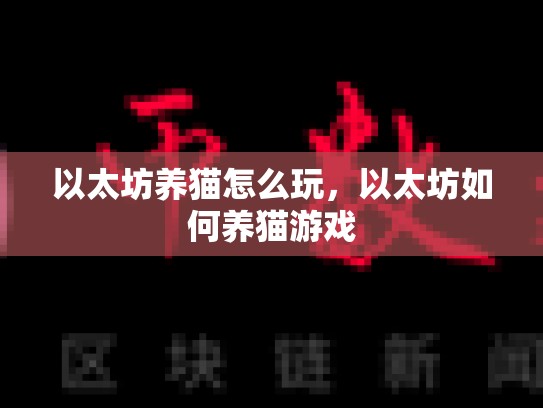 以太坊养猫怎么玩，以太坊如何养猫游戏