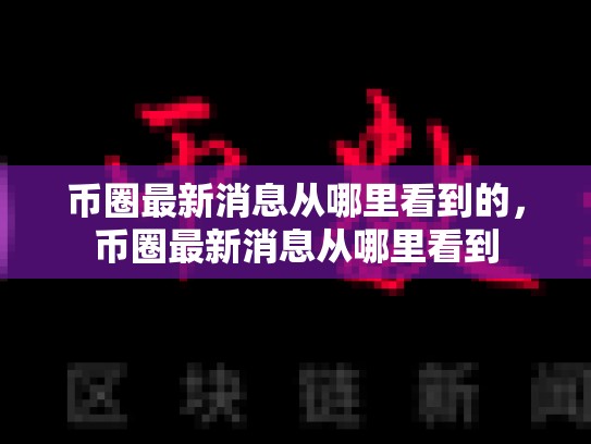 币圈最新消息从哪里看到的，币圈最新消息从哪里看到-第1张图片-币数通