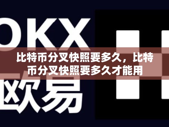 比特币分叉快照要多久，比特币分叉快照要多久才能用