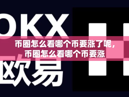 币圈怎么看哪个币要涨了呢，币圈怎么看哪个币要涨-第1张图片-币数通