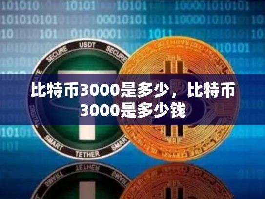 比特币3000是多少，比特币3000是多少钱-第1张图片-币数通