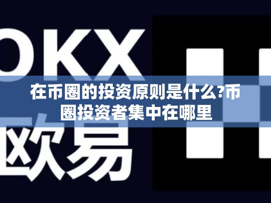 在币圈的投资原则是什么?币圈投资者集中在哪里-第1张图片-币数通