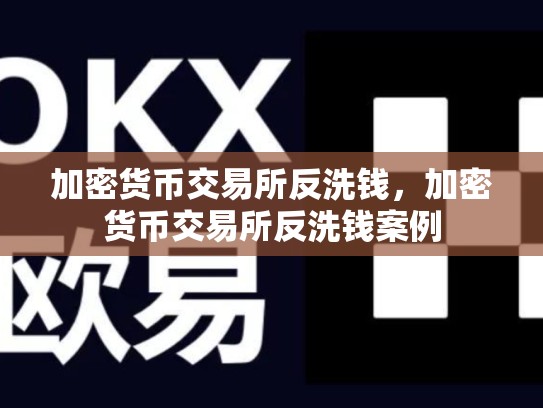 加密货币交易所反洗钱，加密货币交易所反洗钱案例-第1张图片-币数通