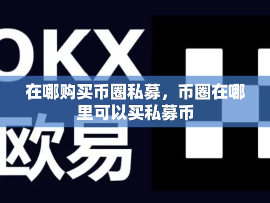在哪购买币圈私募，币圈在哪里可以买私募币