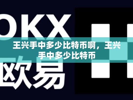 王兴手中多少比特币啊，王兴手中多少比特币