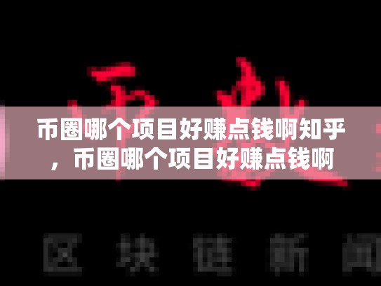 币圈哪个项目好赚点钱啊知乎，币圈哪个项目好赚点钱啊