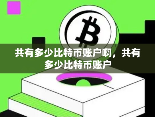 共有多少比特币账户啊，共有多少比特币账户