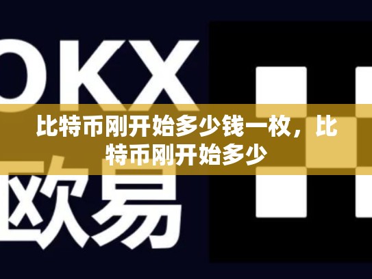 比特币刚开始多少钱一枚，比特币刚开始多少-第1张图片-币数通