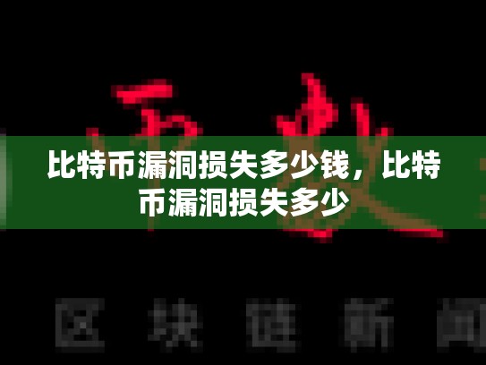 比特币漏洞损失多少钱，比特币漏洞损失多少