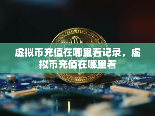 虚拟币充值在哪里看记录，虚拟币充值在哪里看