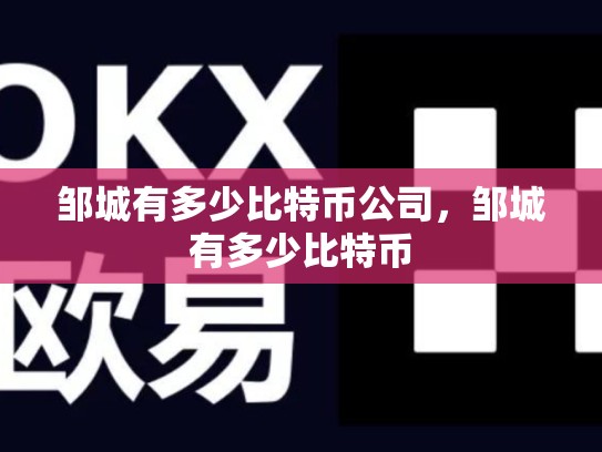邹城有多少比特币公司，邹城有多少比特币-第1张图片-币数通