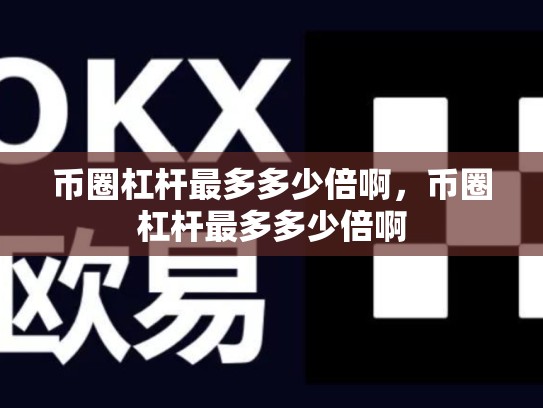 币圈杠杆最多多少倍啊，币圈杠杆最多多少倍啊-第1张图片-币数通