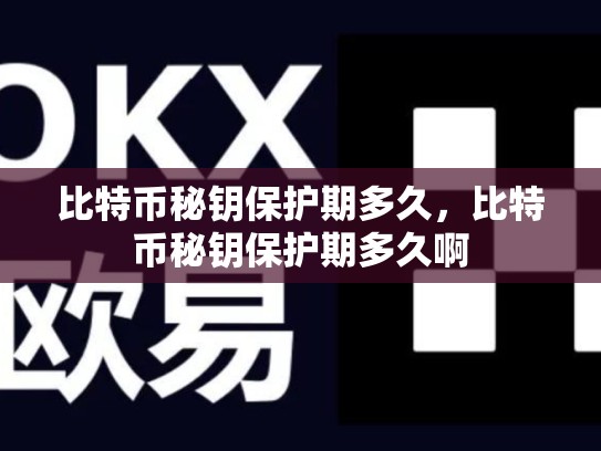 比特币秘钥保护期多久，比特币秘钥保护期多久啊-第1张图片-币数通
