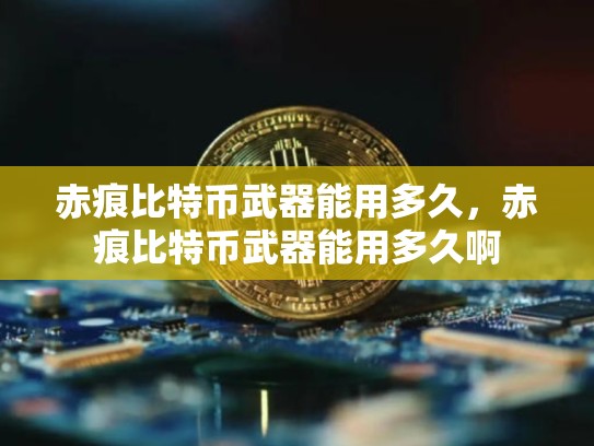 赤痕比特币武器能用多久，赤痕比特币武器能用多久啊-第1张图片-币数通