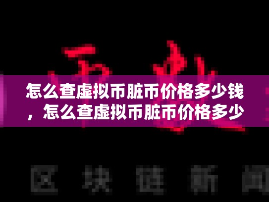 怎么查虚拟币脏币价格多少钱，怎么查虚拟币脏币价格多少