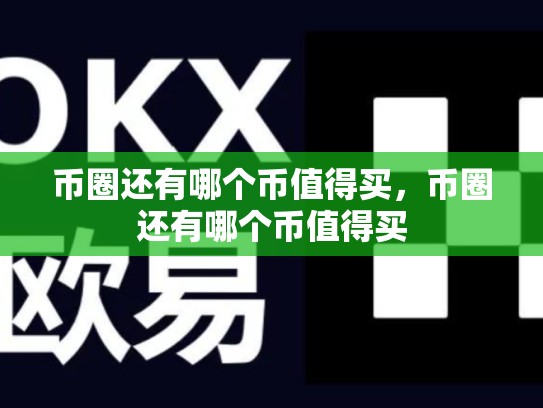 币圈还有哪个币值得买，币圈还有哪个币值得买-第1张图片-币数通