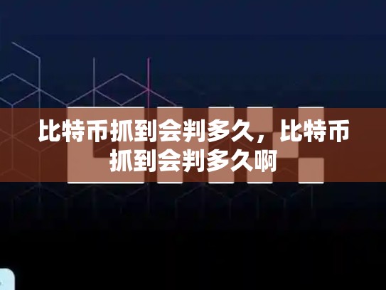 比特币抓到会判多久，比特币抓到会判多久啊