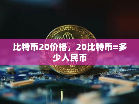 比特币20价格，20比特币=多少人民币-第1张图片-币数通