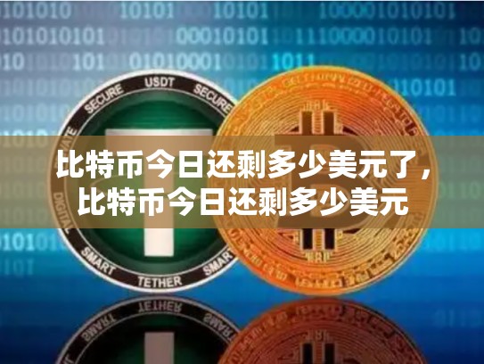 比特币今日还剩多少美元了，比特币今日还剩多少美元-第1张图片-币数通
