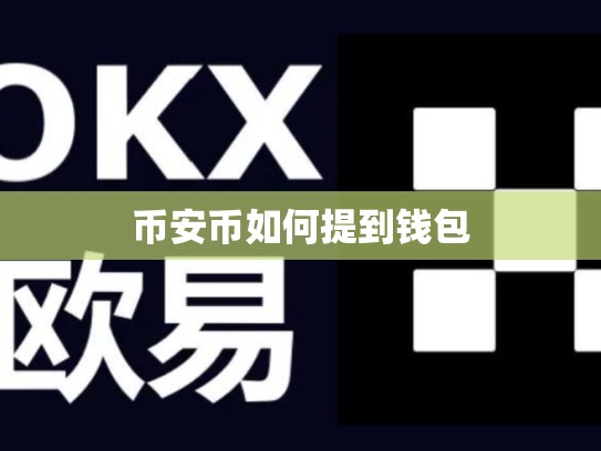 币安币如何提到钱包