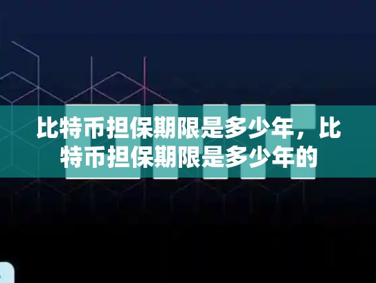 比特币担保期限是多少年，比特币担保期限是多少年的-第1张图片-币数通