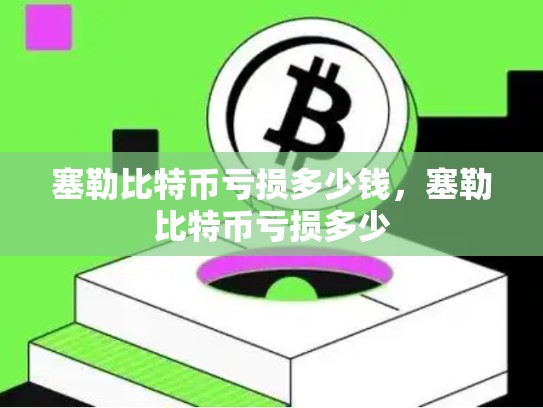 塞勒比特币亏损多少钱，塞勒比特币亏损多少