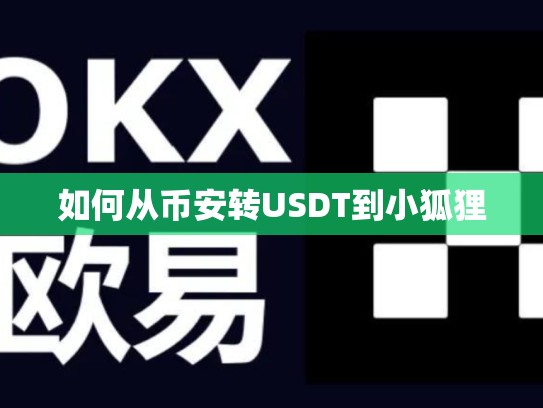 如何从币安转USDT到小狐狸-第1张图片-币数通