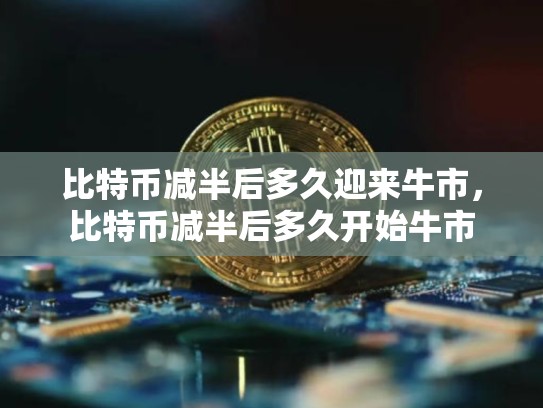 比特币减半后多久迎来牛市，比特币减半后多久开始牛市