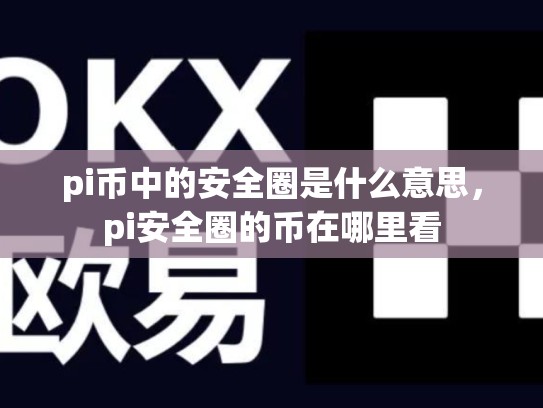 pi币中的安全圈是什么意思，pi安全圈的币在哪里看