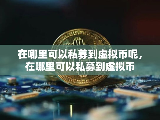 在哪里可以私募到虚拟币呢，在哪里可以私募到虚拟币