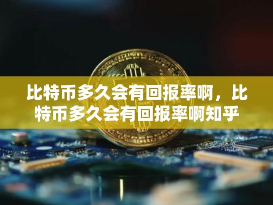 比特币多久会有回报率啊，比特币多久会有回报率啊知乎-第1张图片-币数通