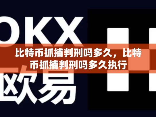 比特币抓捕判刑吗多久，比特币抓捕判刑吗多久执行