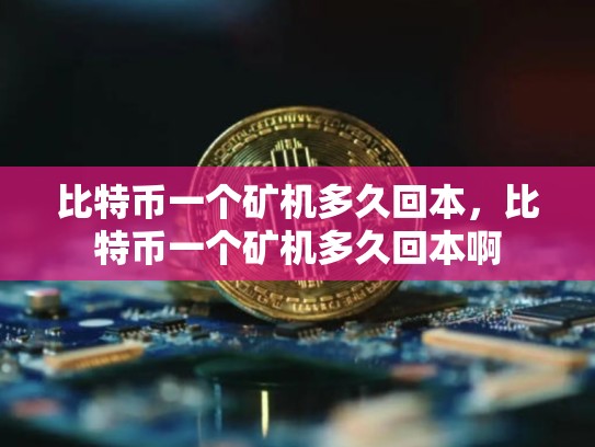 比特币一个矿机多久回本，比特币一个矿机多久回本啊-第1张图片-币数通