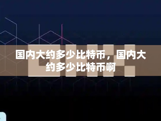 国内大约多少比特币，国内大约多少比特币啊-第1张图片-币数通