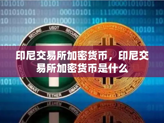 印尼交易所加密货币，印尼交易所加密货币是什么-第1张图片-币数通