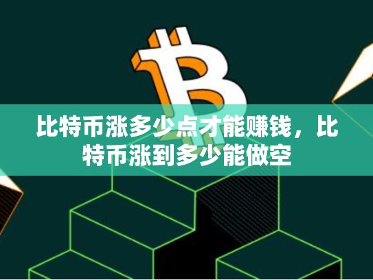 比特币涨多少点才能赚钱，比特币涨到多少能做空-第1张图片-币数通