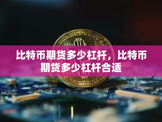 比特币期货多少杠杆，比特币期货多少杠杆合适