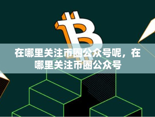 在哪里关注币圈公众号呢，在哪里关注币圈公众号-第1张图片-币数通