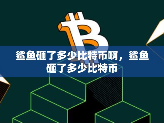 鲨鱼砸了多少比特币啊，鲨鱼砸了多少比特币-第1张图片-币数通