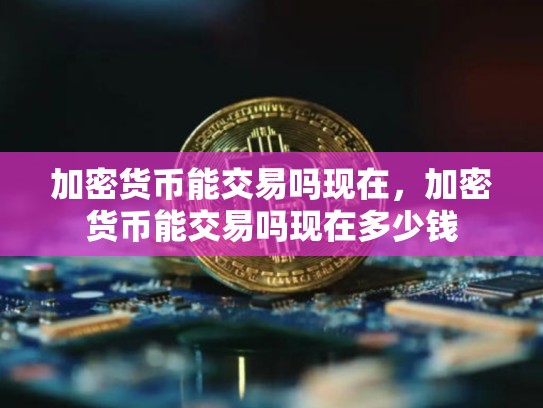 加密货币能交易吗现在，加密货币能交易吗现在多少钱