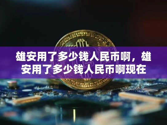 雄安用了多少钱人民币啊，雄安用了多少钱人民币啊现在