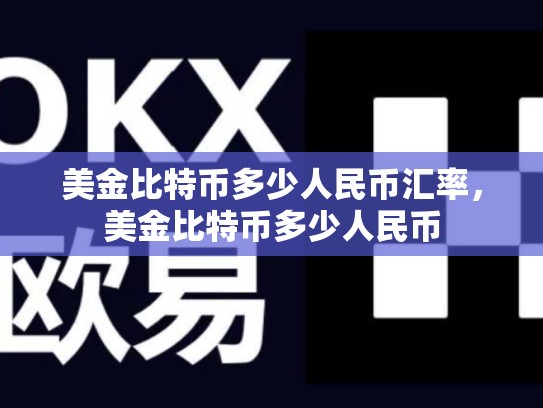 美金比特币多少人民币汇率，美金比特币多少人民币-第1张图片-币数通