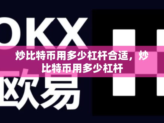 炒比特币用多少杠杆合适，炒比特币用多少杠杆